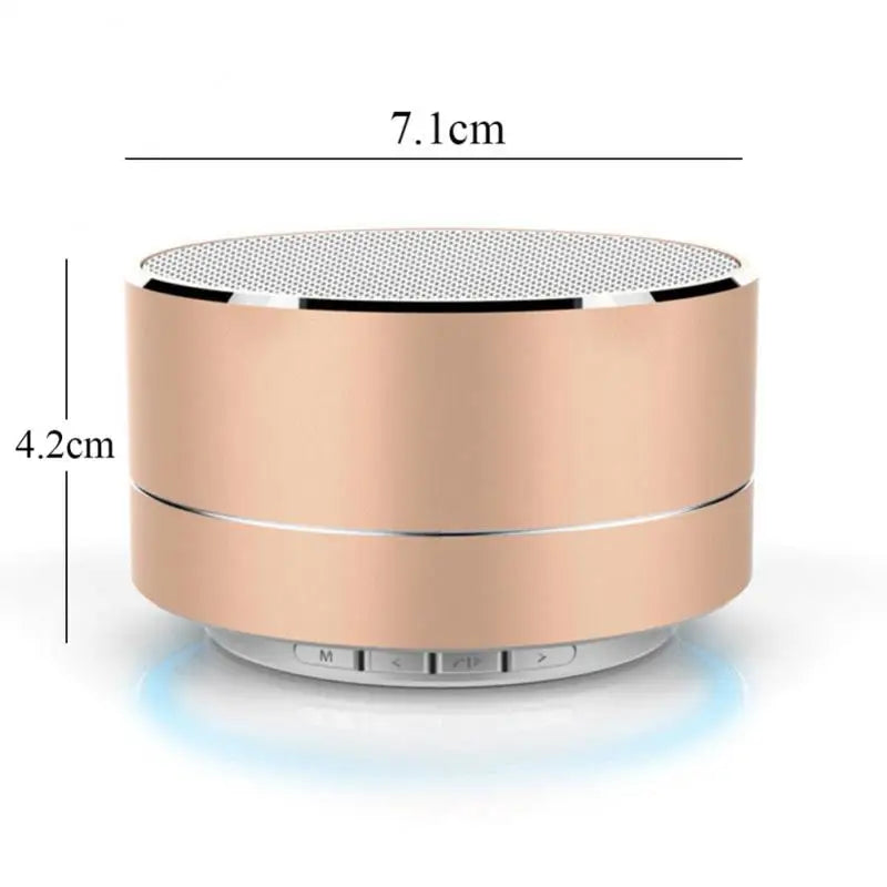 Portable Wireless Bluetooth Speaker with LED Lights and Subwoofer - MOLUCKS